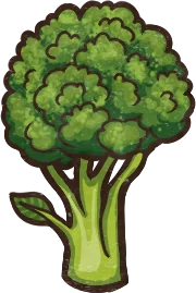ブロッコリー