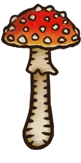 ベニテングダケ