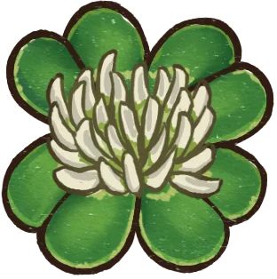 メガクローバー