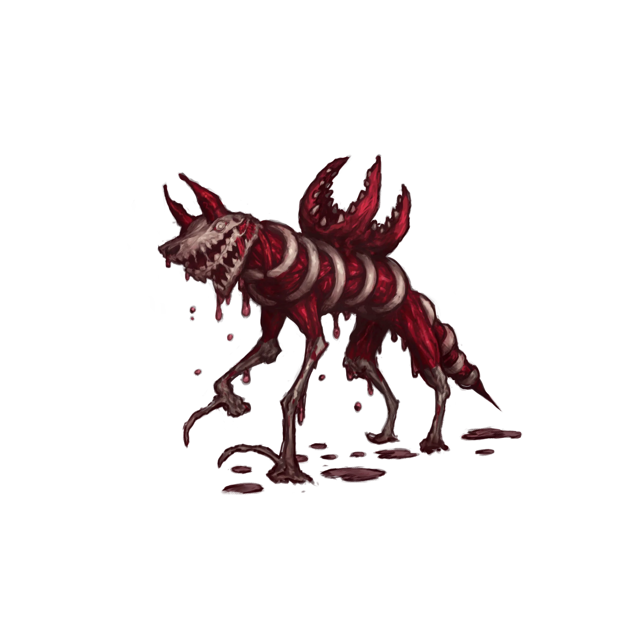 フレッシュボーン