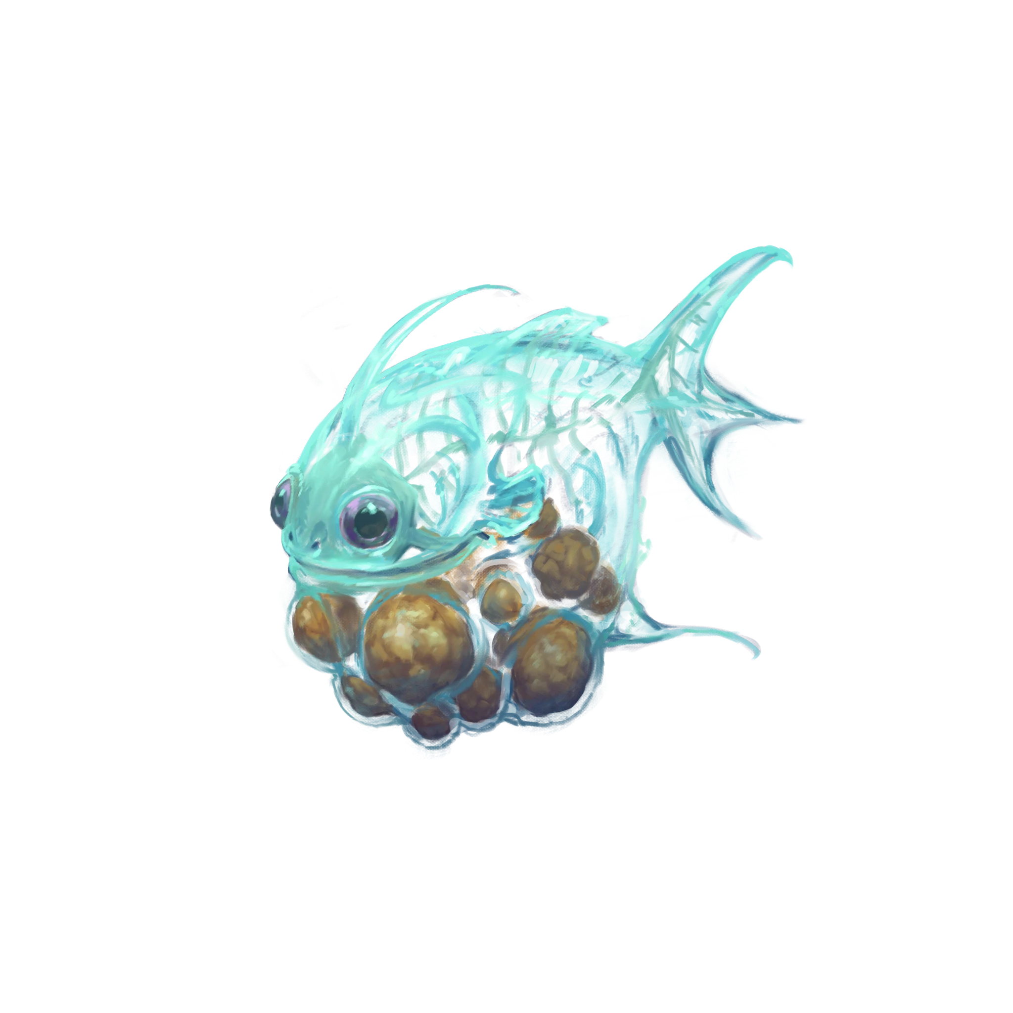 バルブフィッシュ