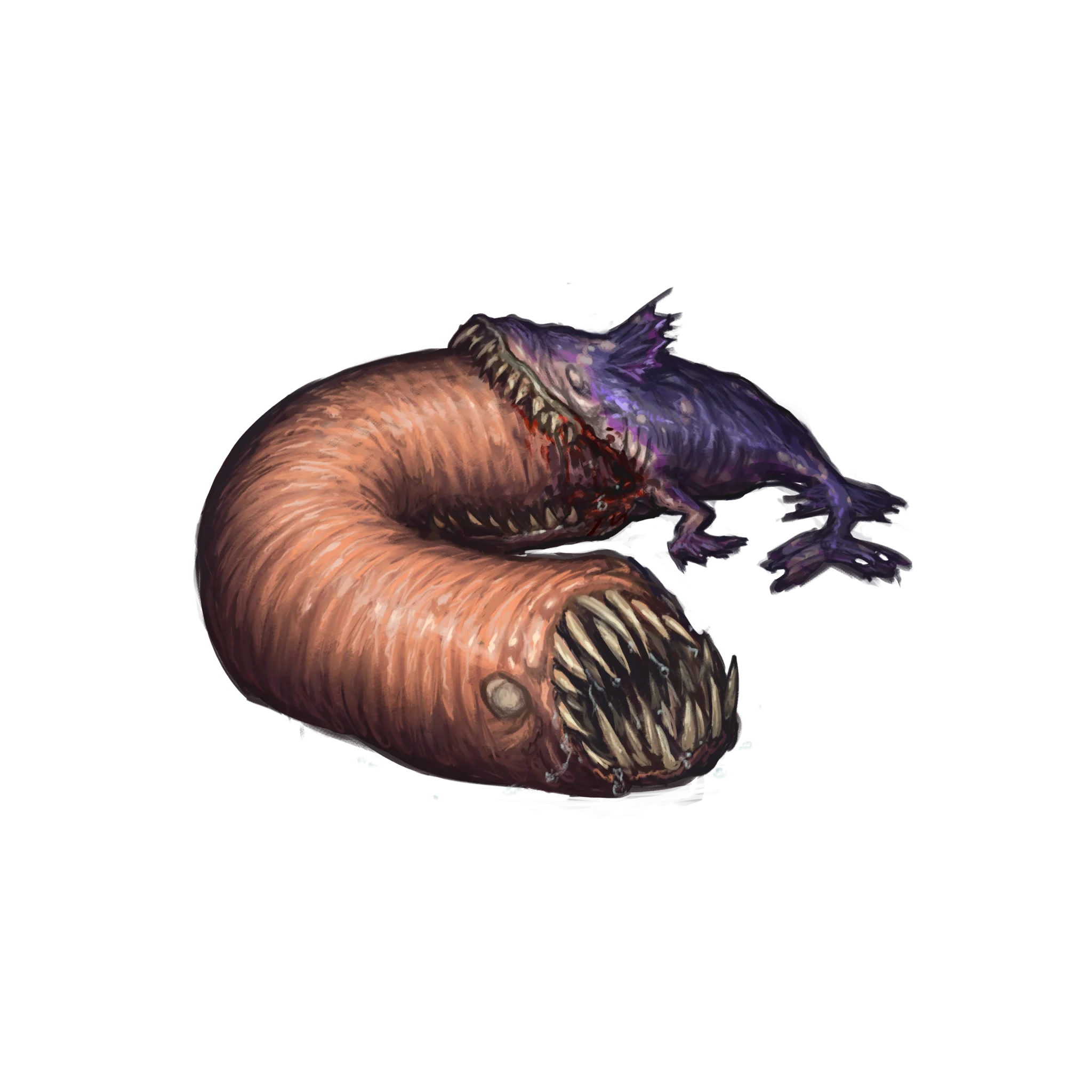 エルダー・タンバイター