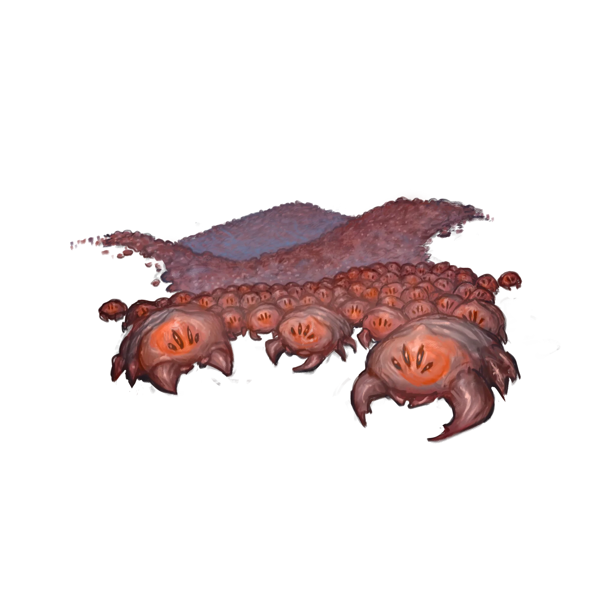 {greatshell_name}オキアミ