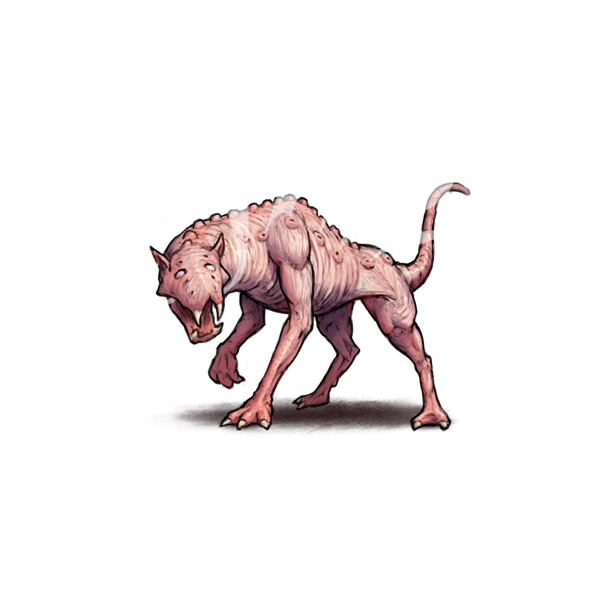 ヒートタイガー