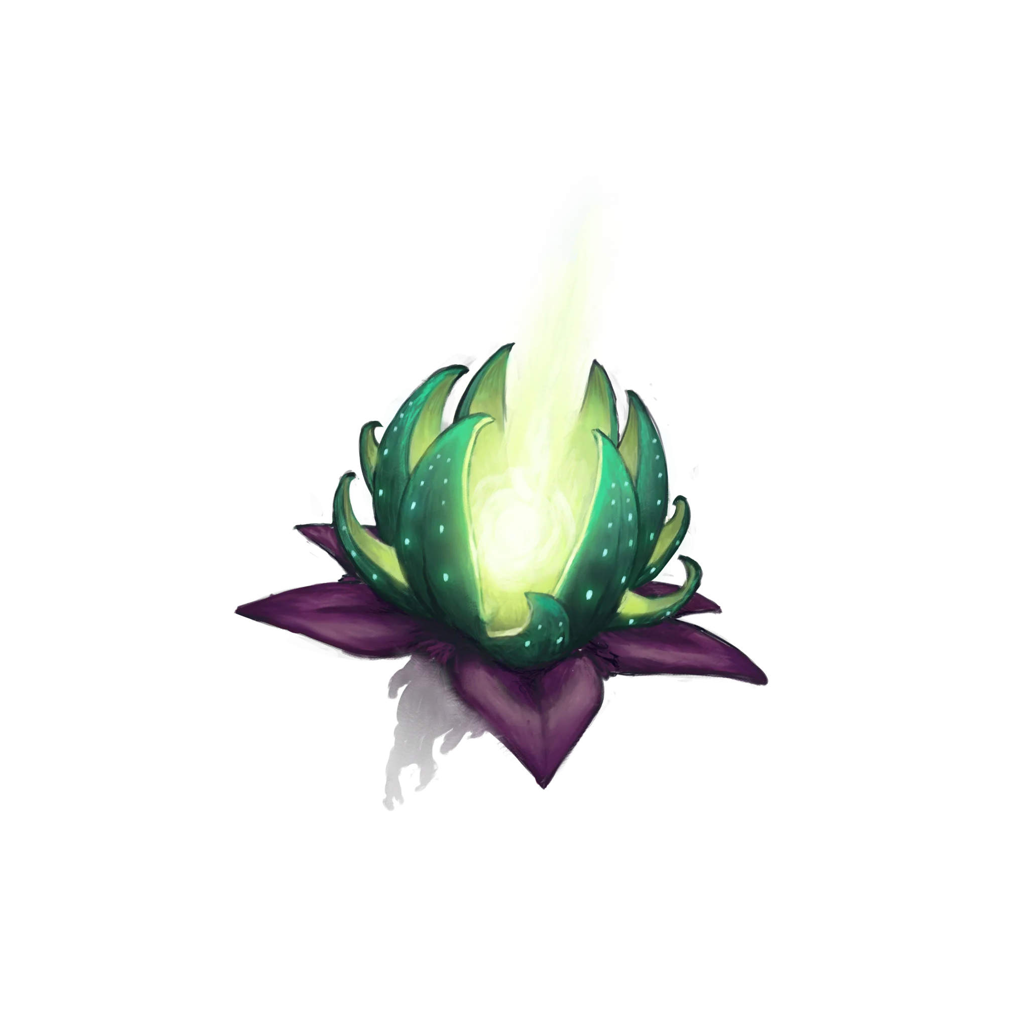 アビスロータス