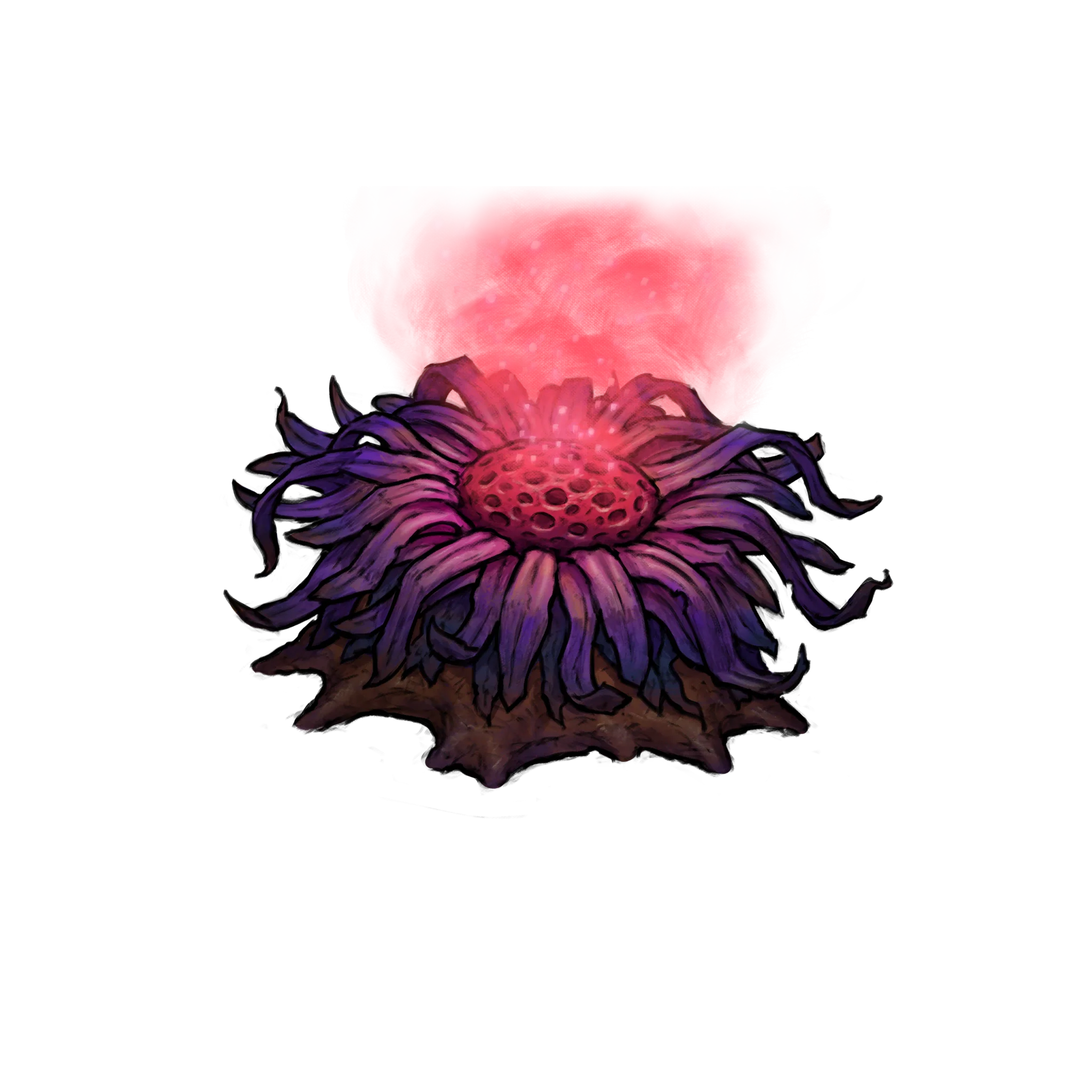 スポアプラント