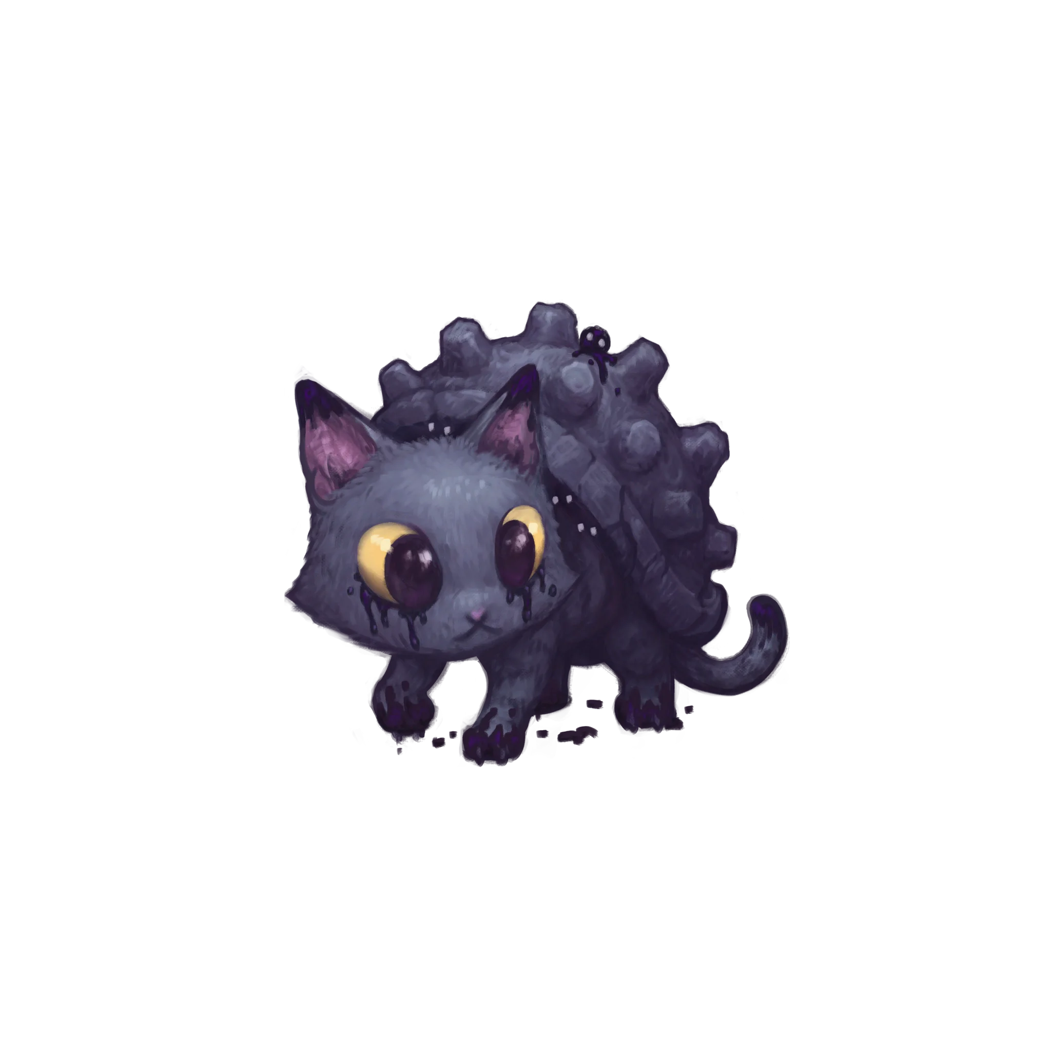 シェルキャット