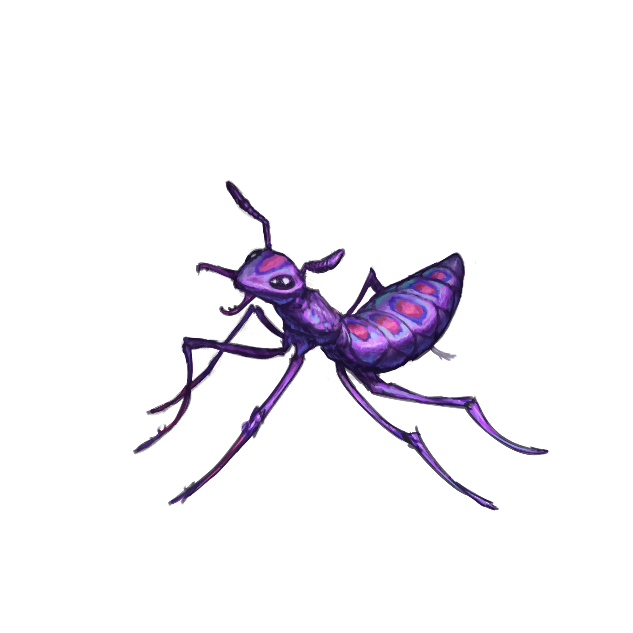 アメジストアント