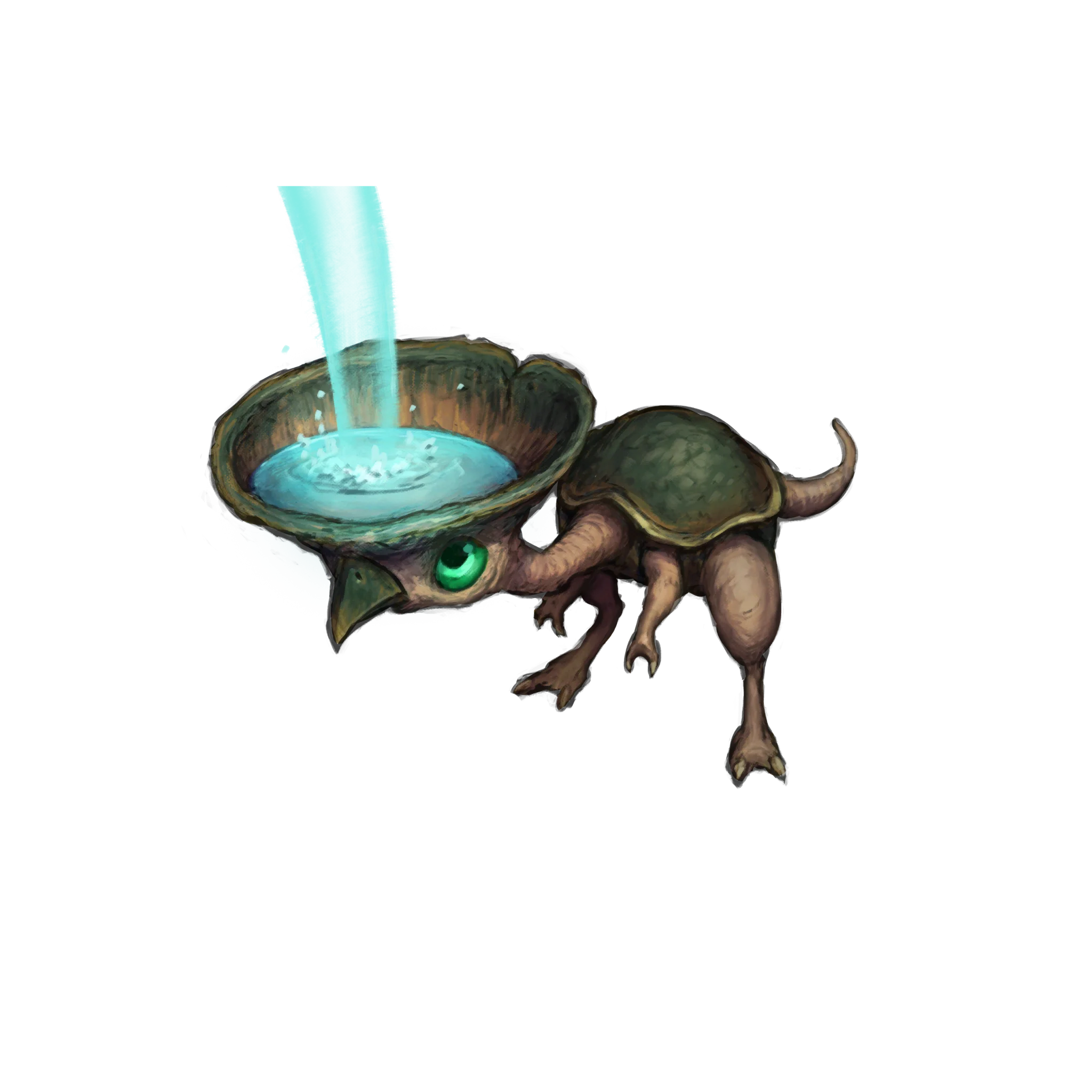 ウォーターワリー