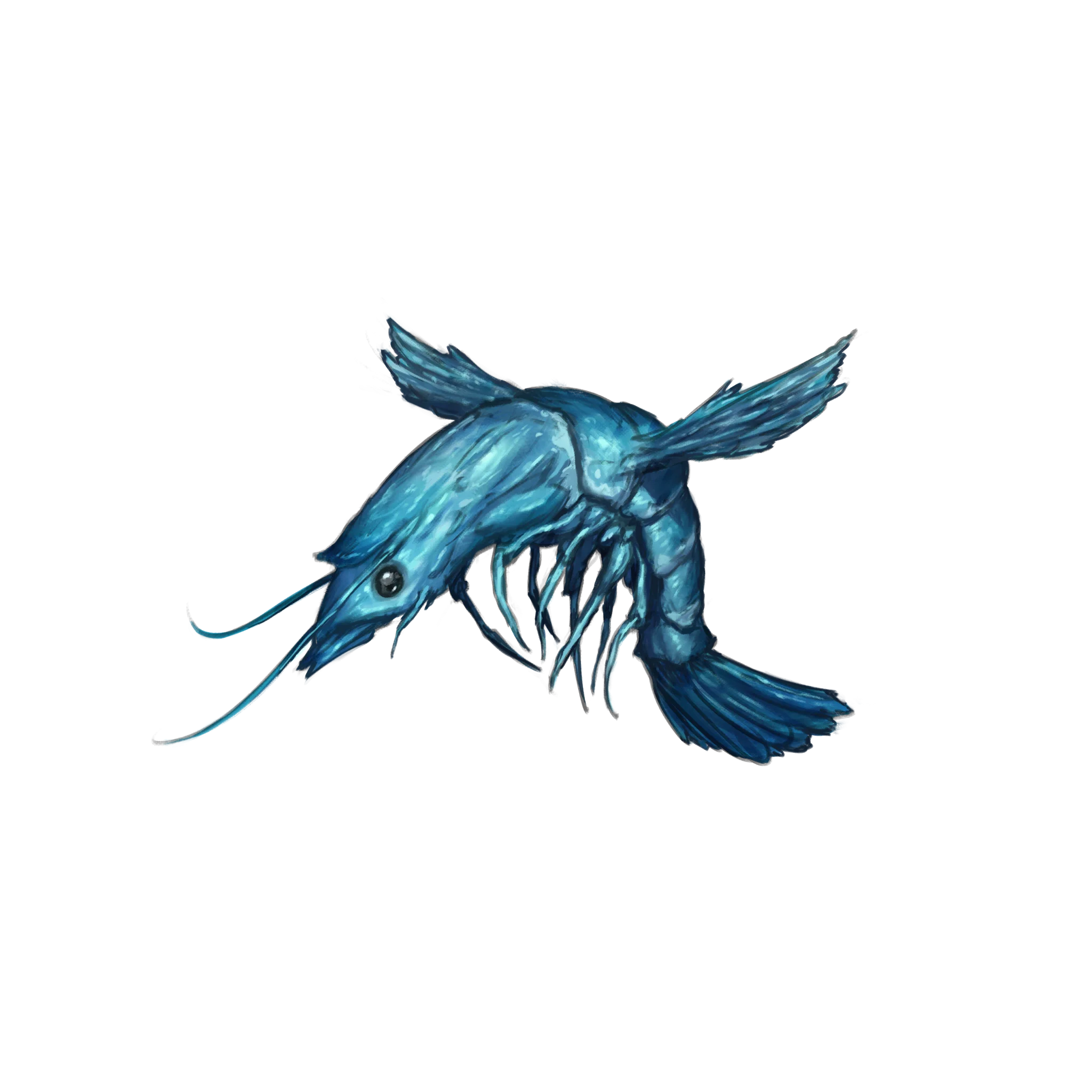 フライングシュリンプ