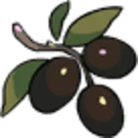 オリーブ