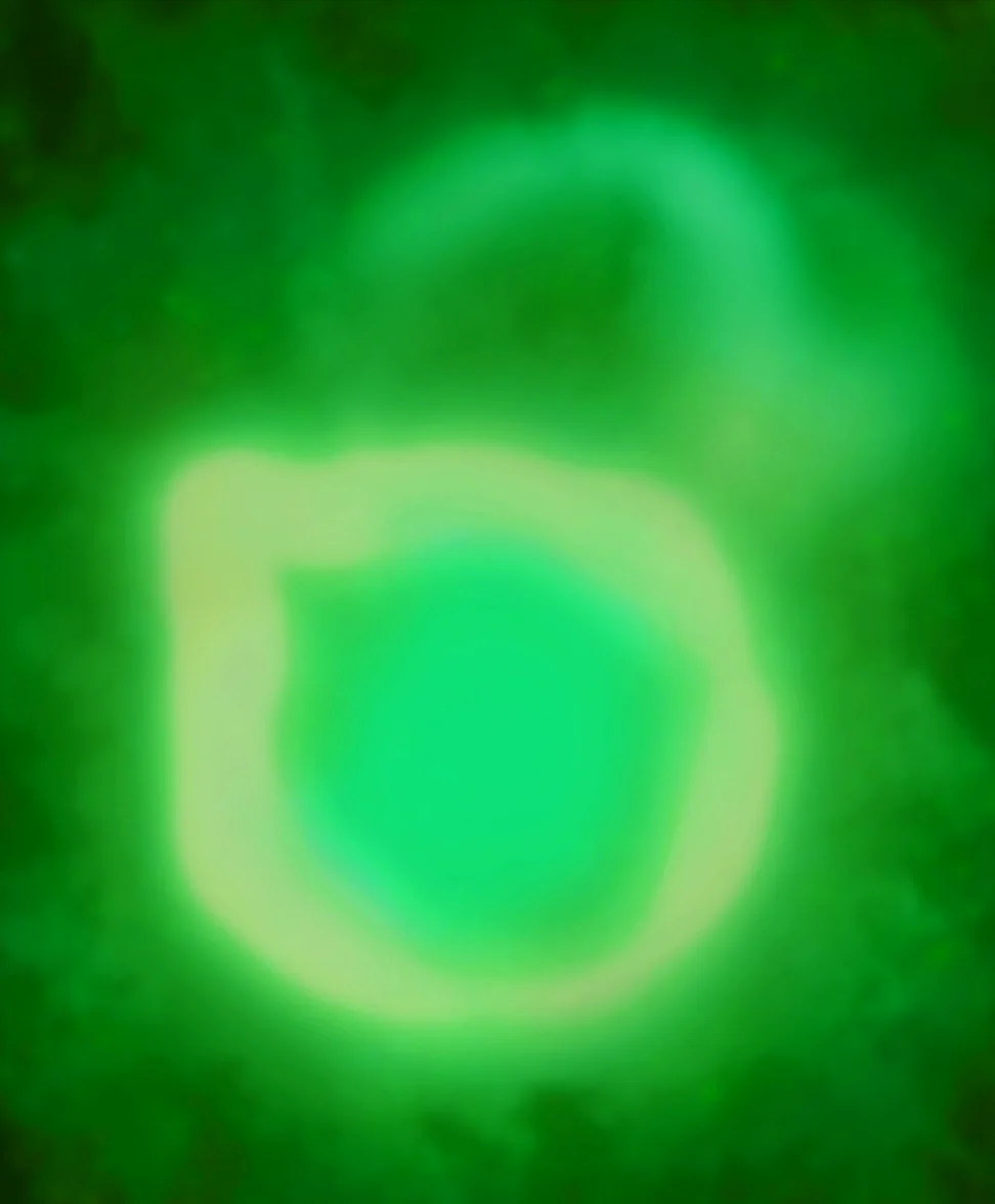 インビゴレーティングソリューション