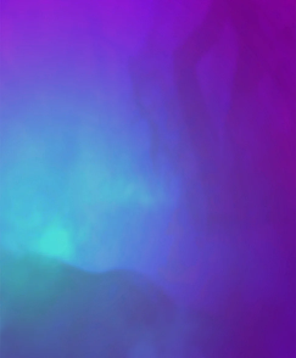 ヴァイングラスプ