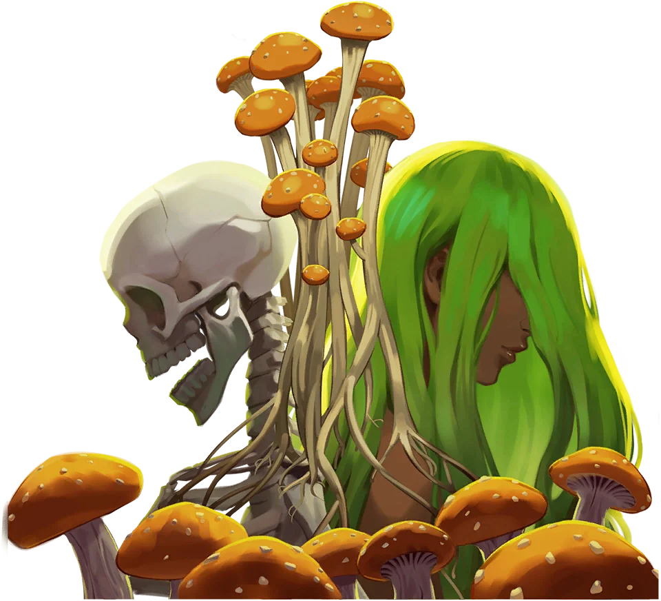 マイトーシスキャップ