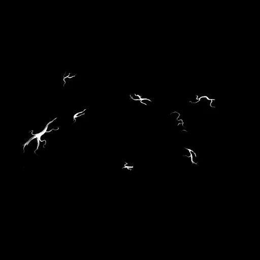 ハイドラ・アームド・ホラー