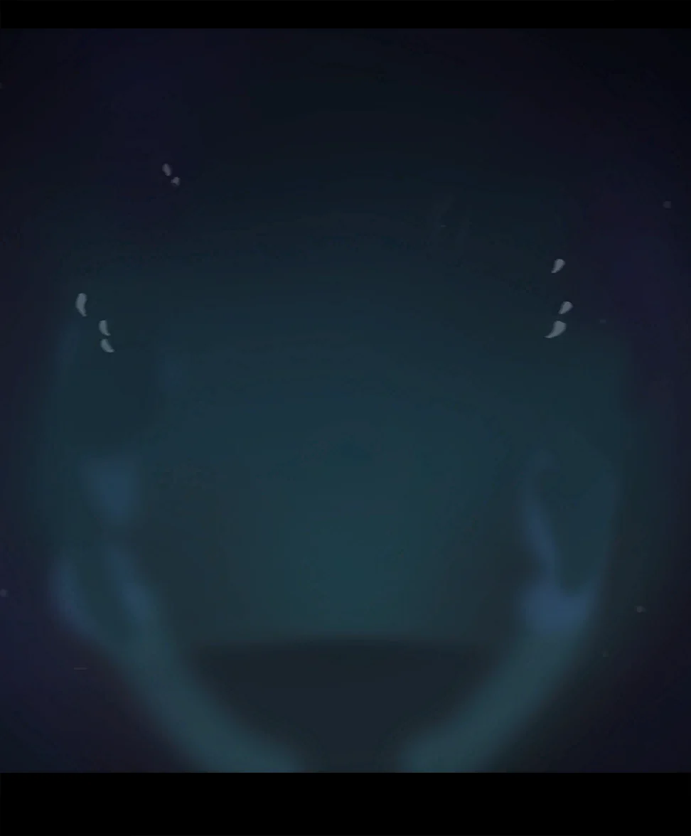 シークレット・イングリディエント