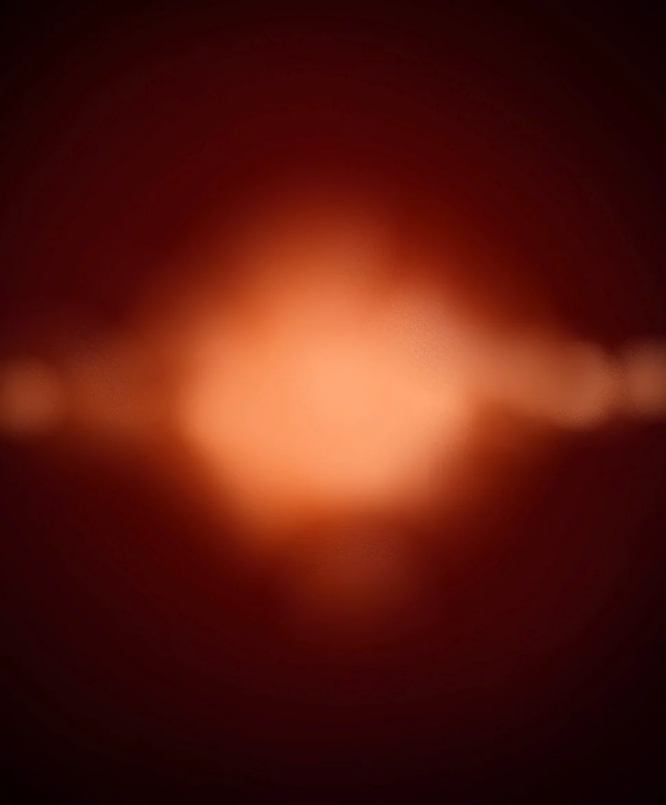 ヴェンジフル・シャード