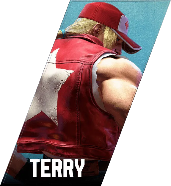 テリー