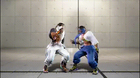 デザート・スライダー