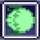 イニレ・ラピドゥス